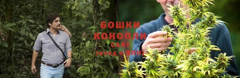 blacksprut онион  Анива  Бошки Шишки Ganja  магазин  наркотиков 